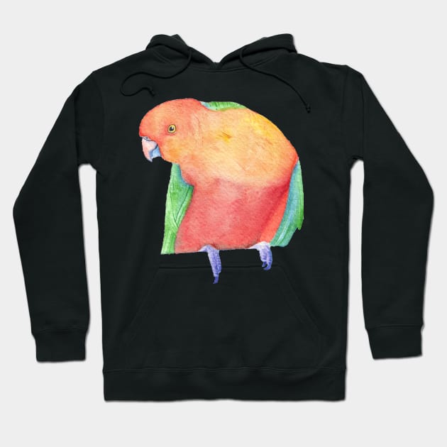 Watercolor Australian King Parrot painting Hoodie by Oranjade0122